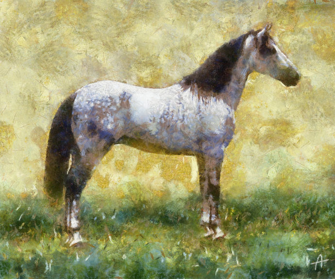 Cheval gris