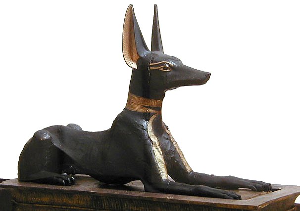 Anubis